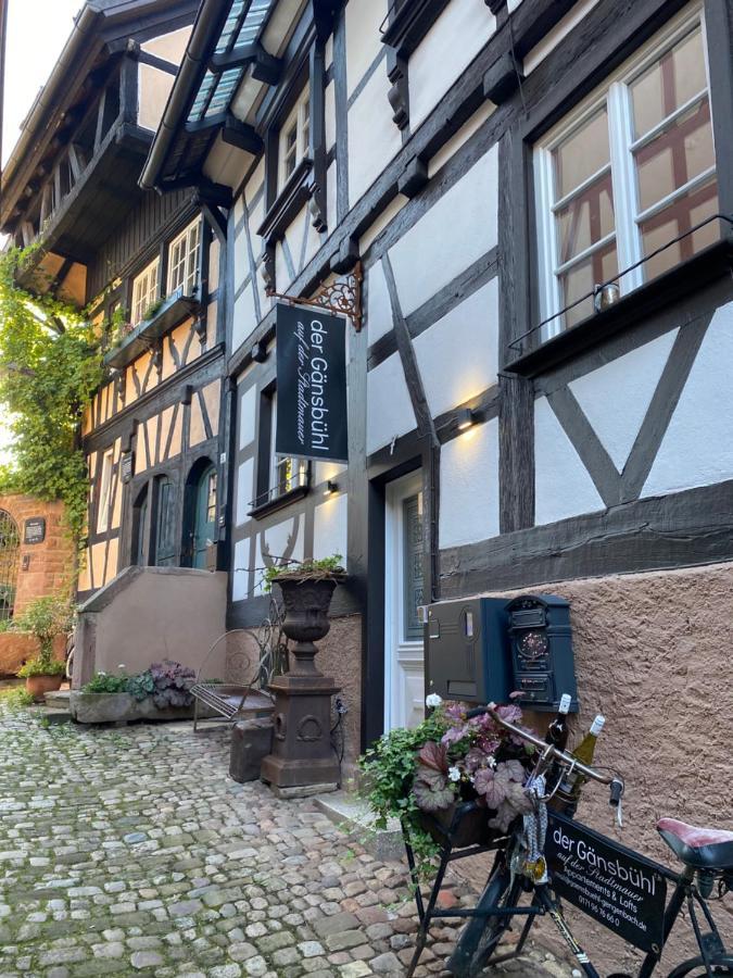 Aparthotel Der Gaensbuehl Auf Der Stadtmauer Gengenbach Zewnętrze zdjęcie